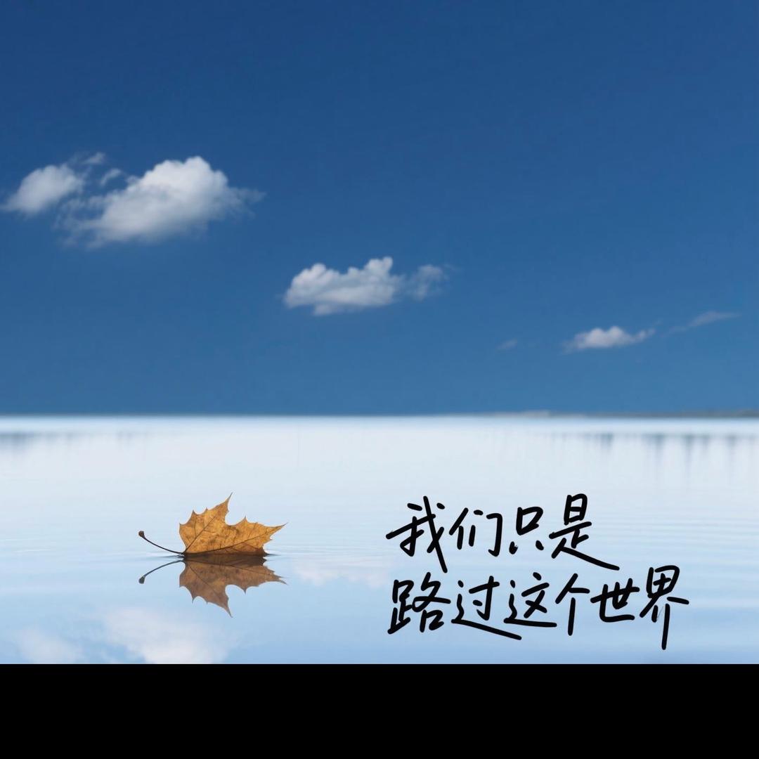 只是路过这个世界