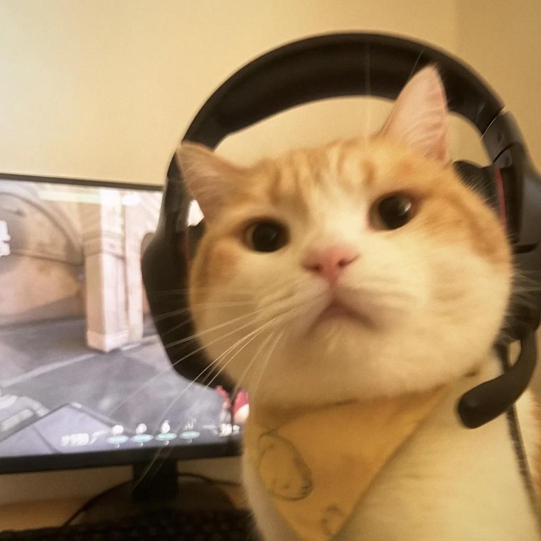 Mikko（无畏契约）