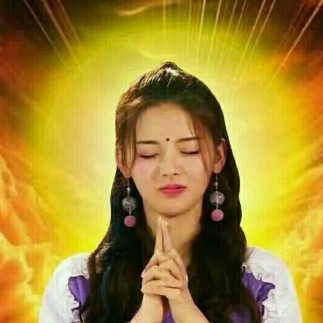 悲伤的野玫瑰🌹