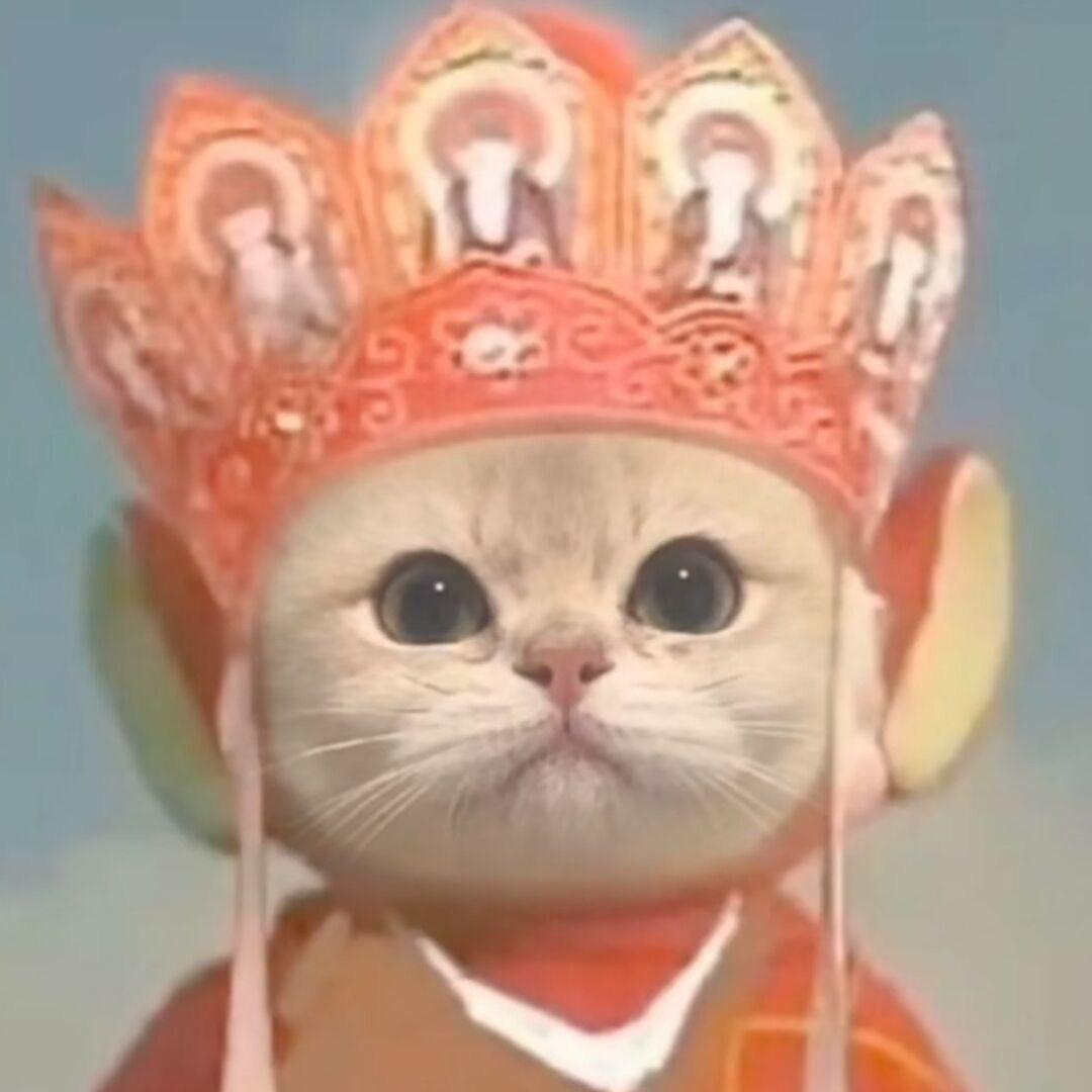 不呕🐱