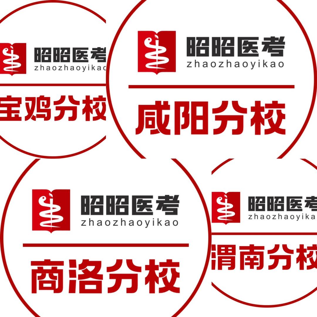 昭昭医考咸阳，渭南，商洛，宝鸡分校王老师