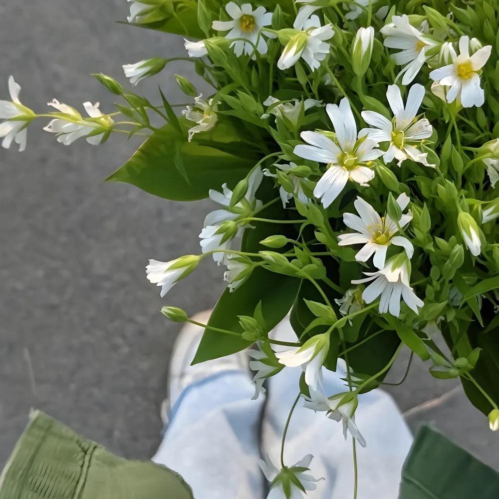 蔚蓝🍀