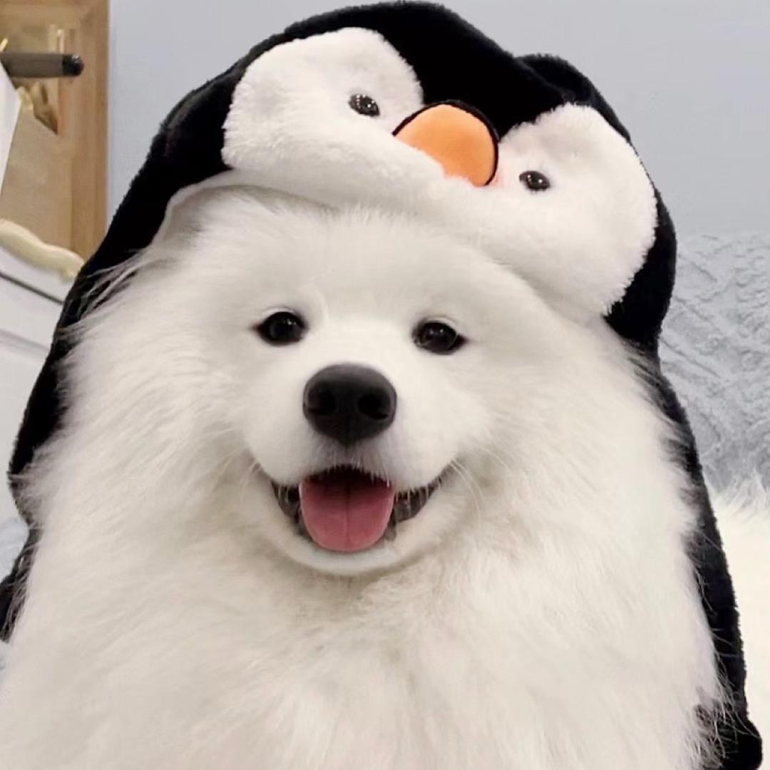 啊Wuuuu柚