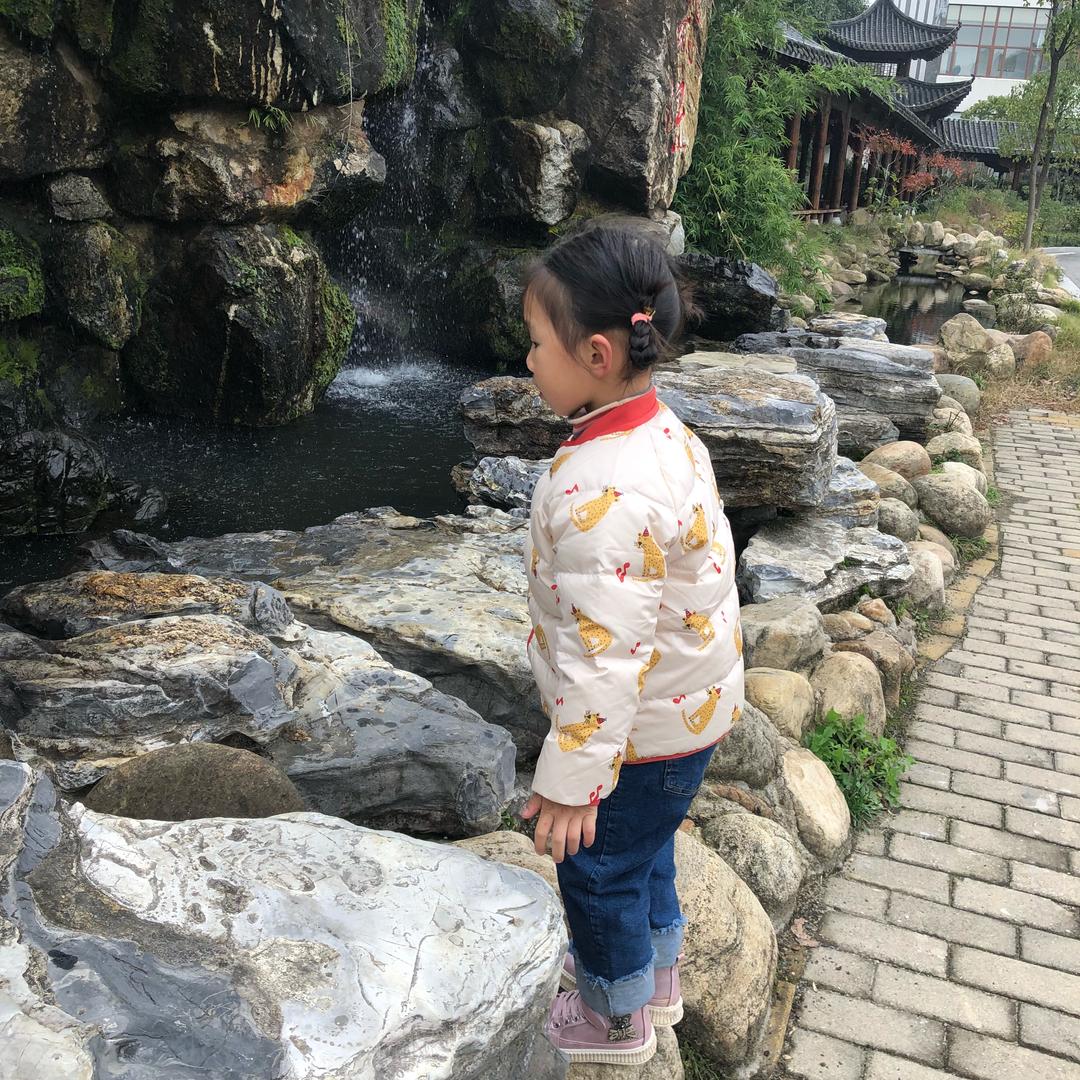 杨灿