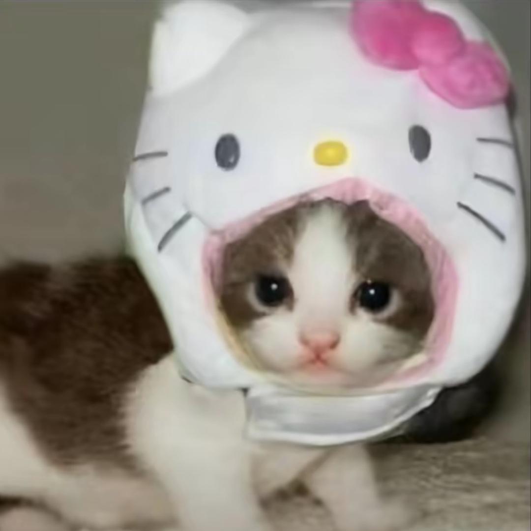 羊羊大王