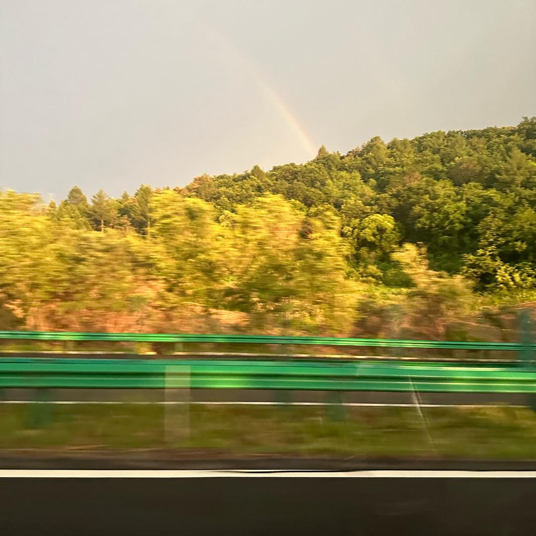 一生所爱