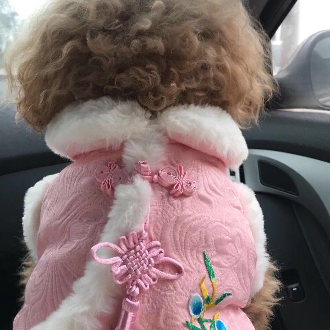贝贝麻