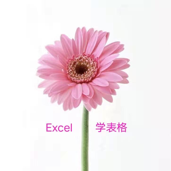 学习Excel表格可好🌼