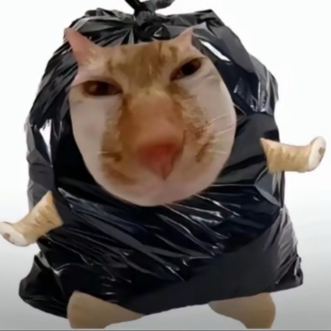 @无聊的雨伞1214