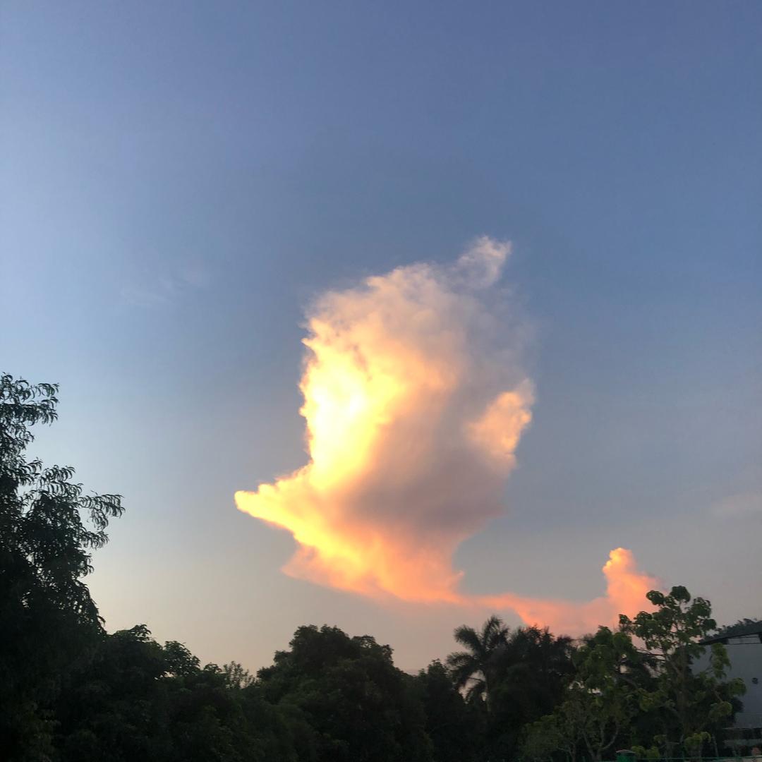 潇洒自在