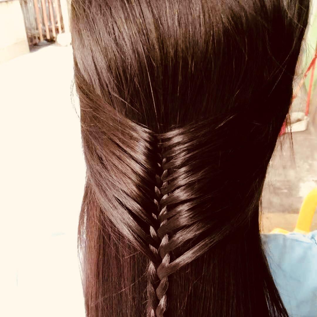 蒲公英C