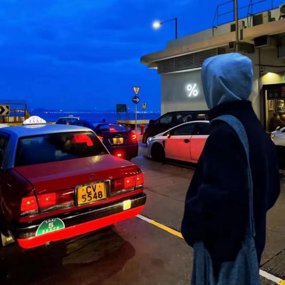 盯上秋刀鱼的猫