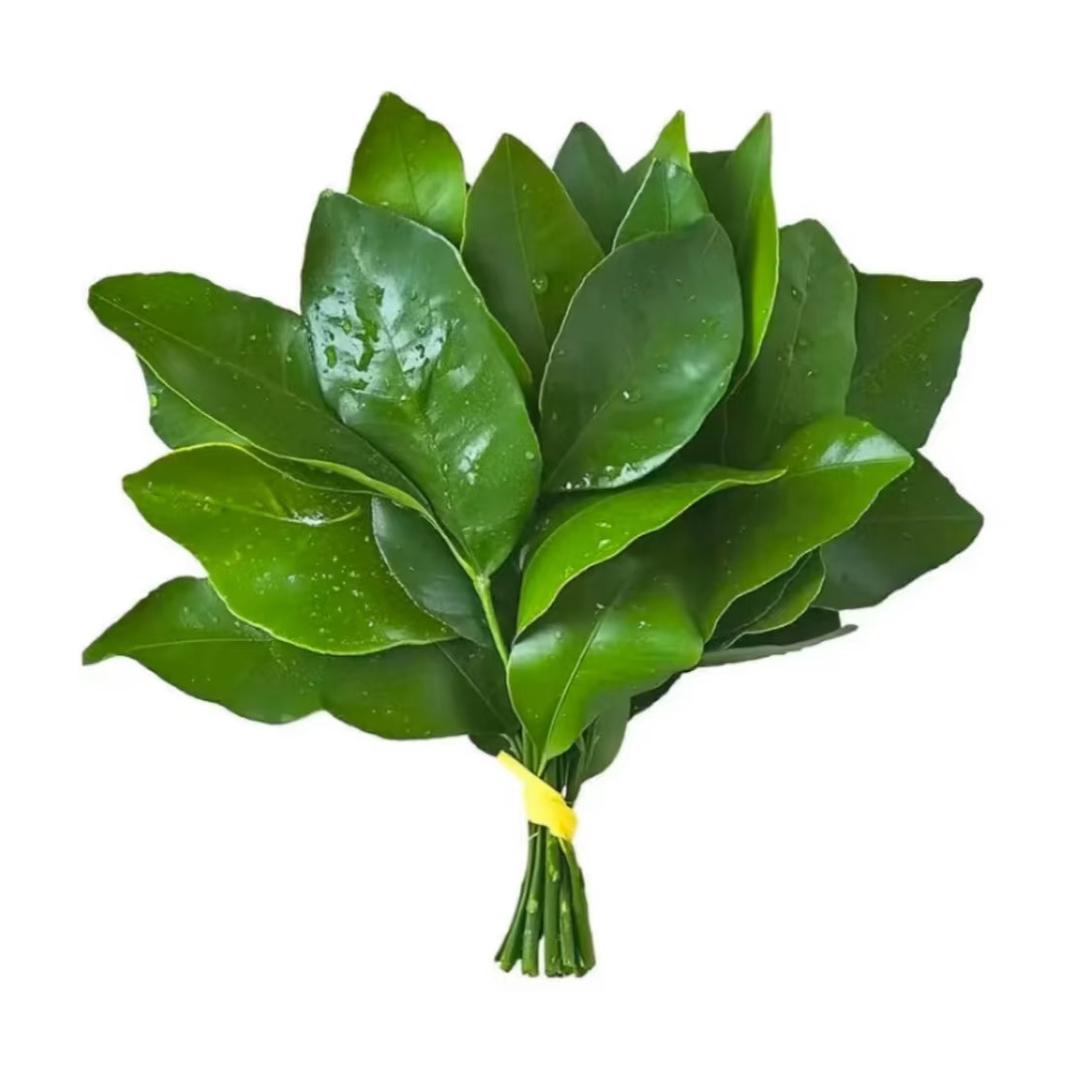 是桃子但不吃桃子