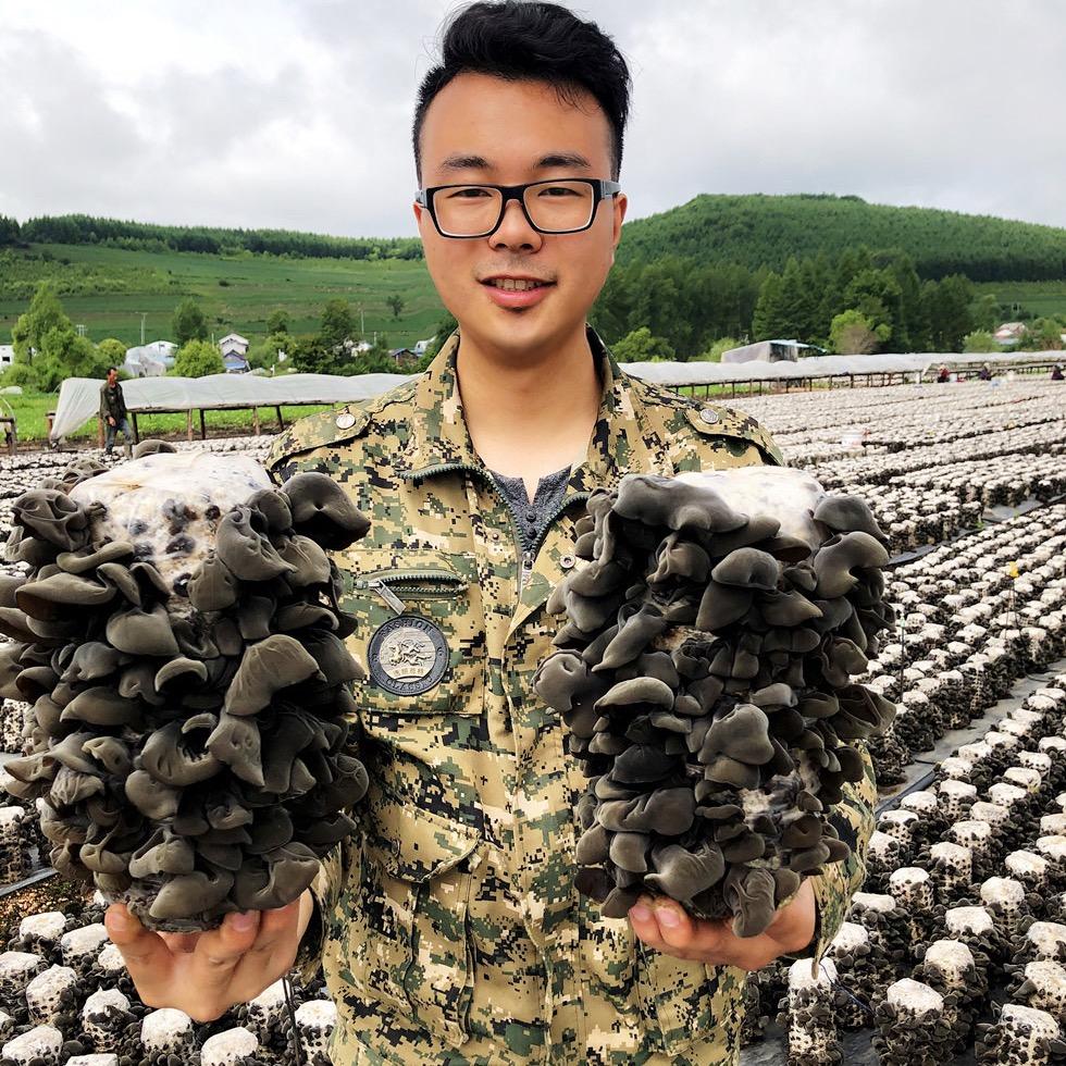 小杰东北长白山特产