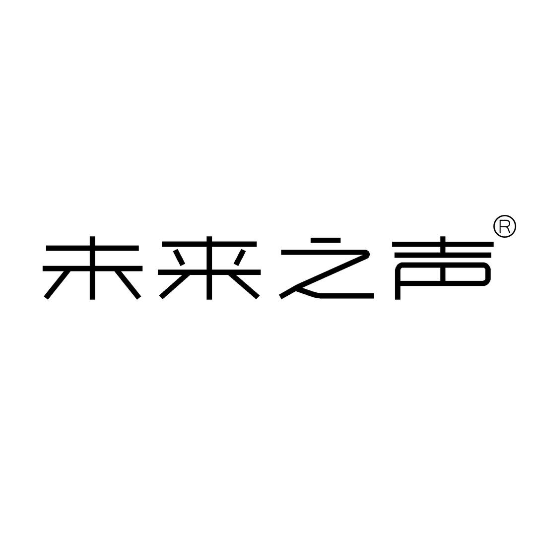 未来之声乐器专营店