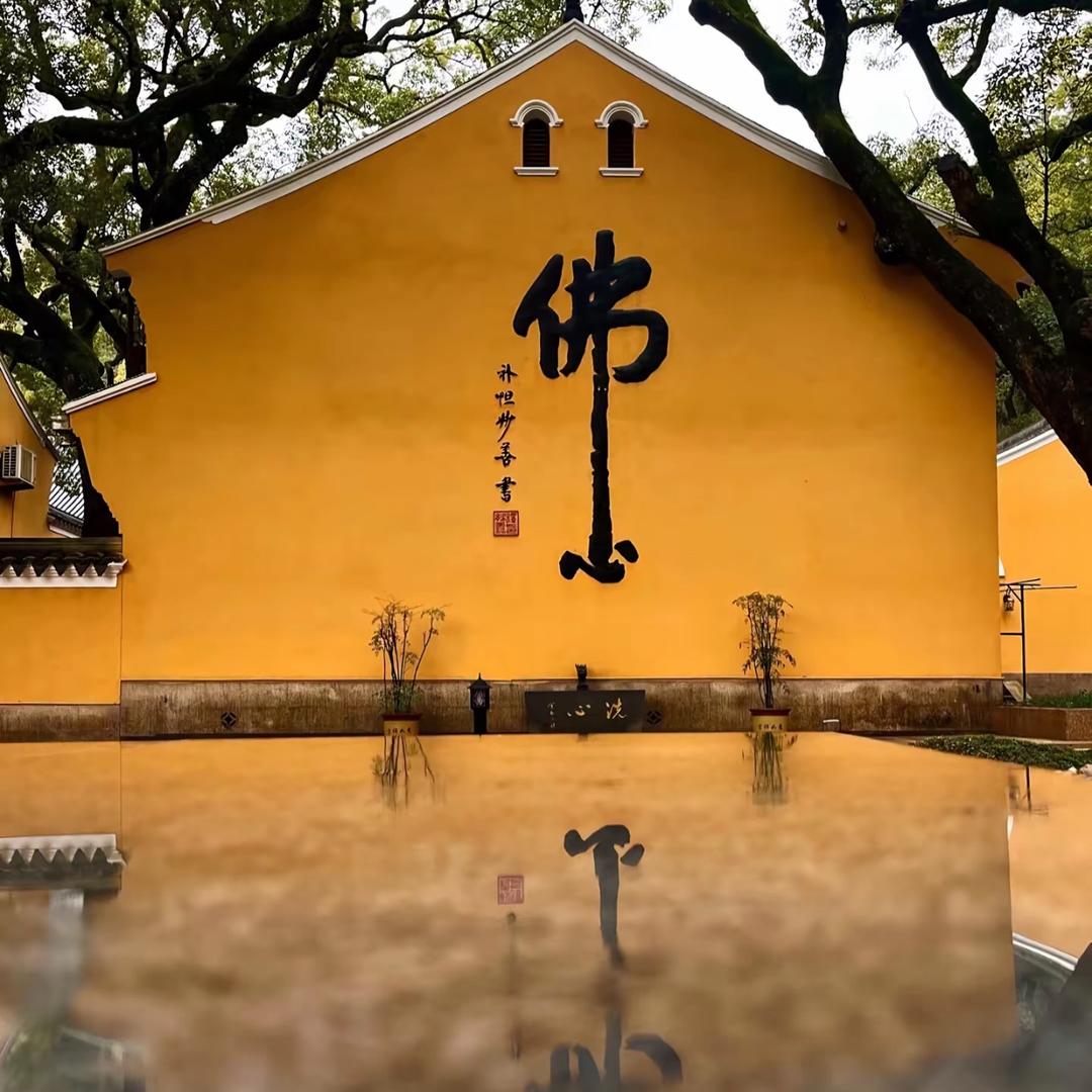 独￥占％一朵花🌹