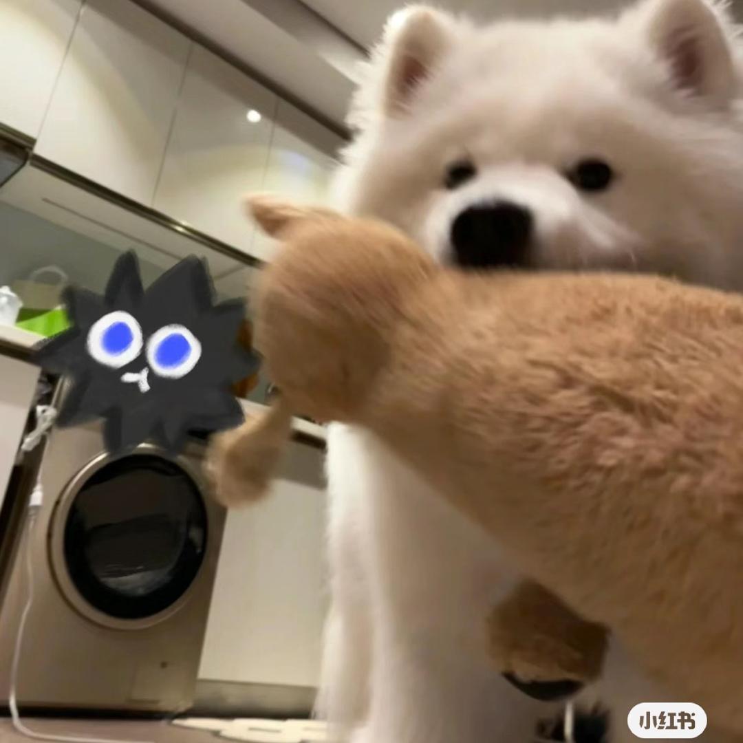 Y…
