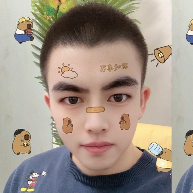 房东dè猫
