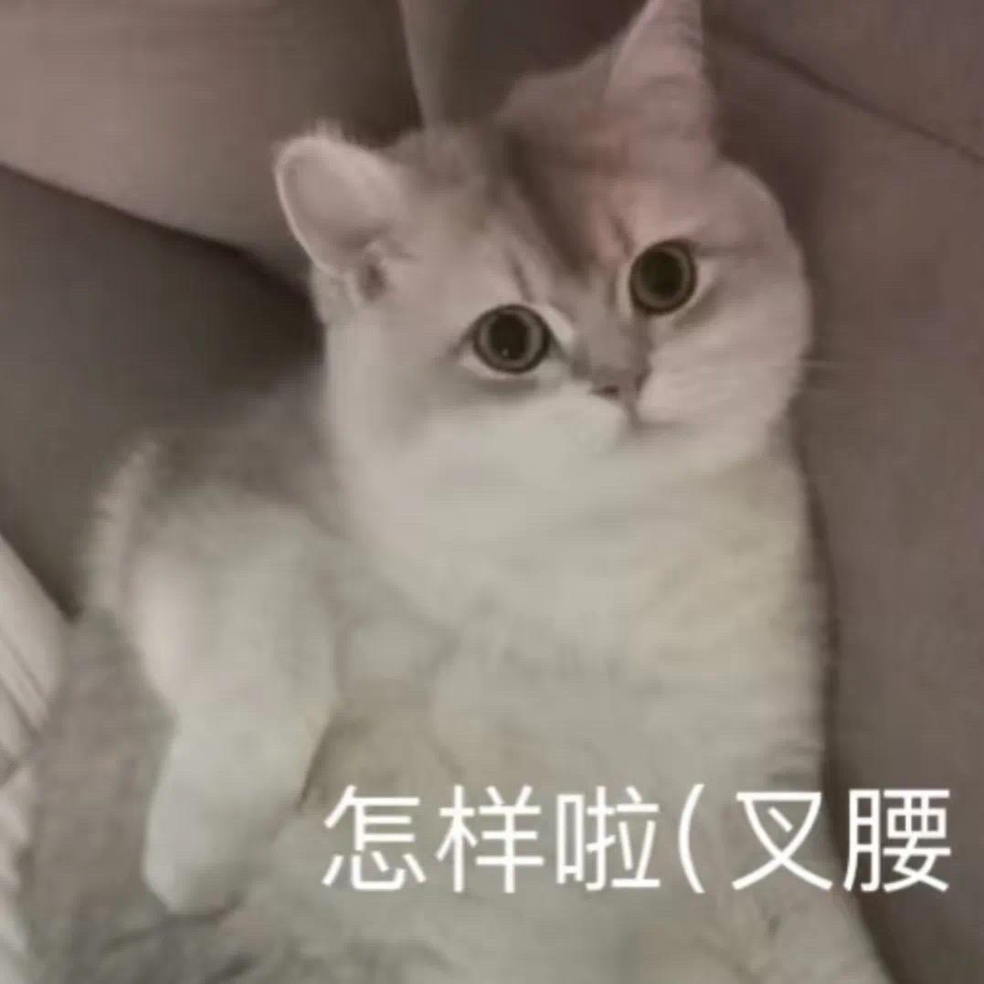 葡萄柚绿去冰不加糖