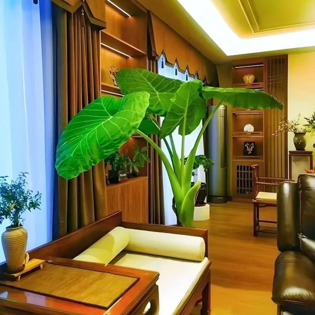 青山绿水绿植供应链