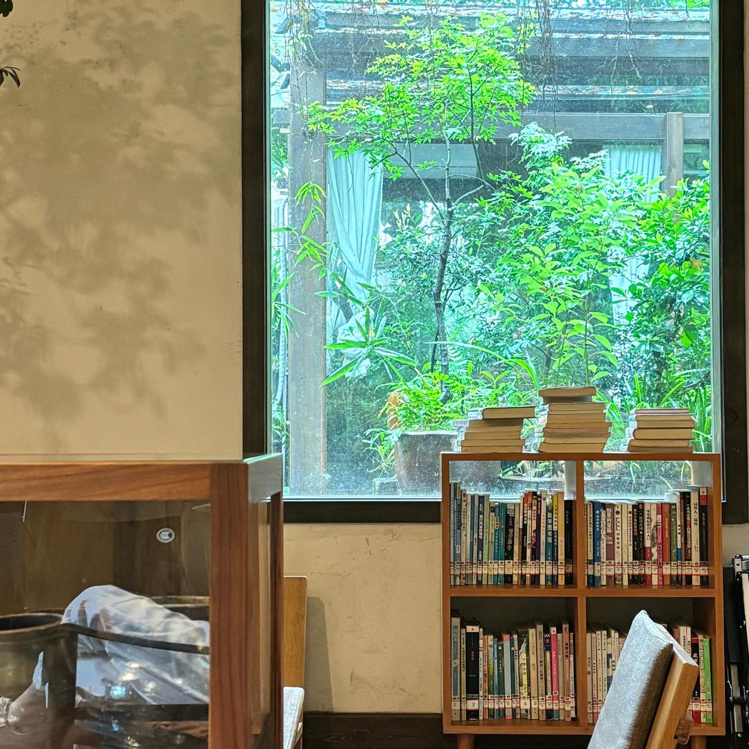 好运莲莲🪷