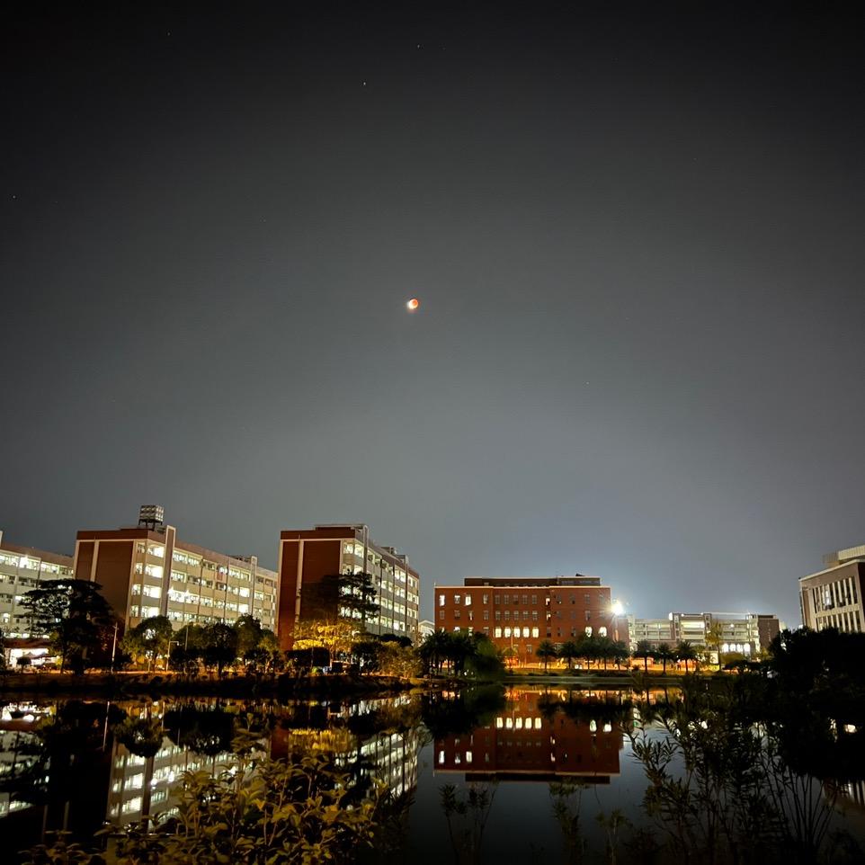 夜色微凉