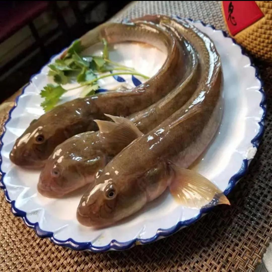 二弟海鲜严选
