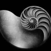 思想史万有引力@抖音