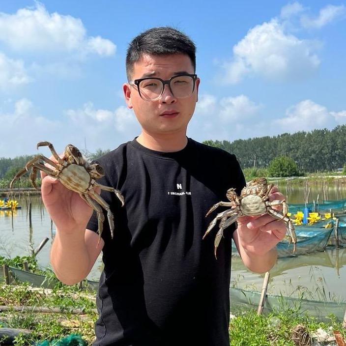 小明到处跑（大闸蟹·残蟹·螃蟹·生蚝）