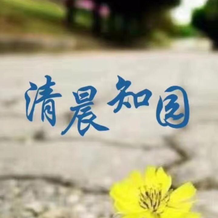 清晨知园紫砂高温釉盆