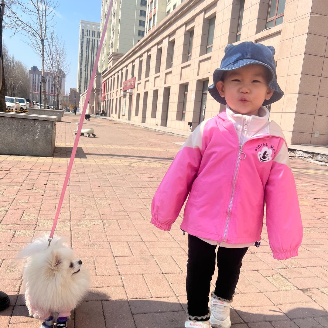 因为。。。。。