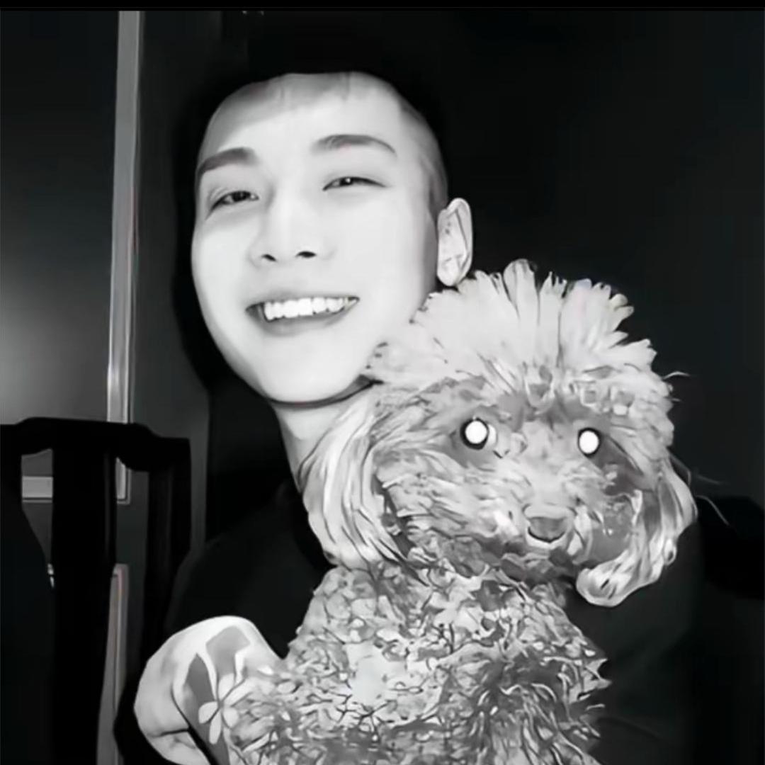 内乡王厨鲜炒鸡-浦娃