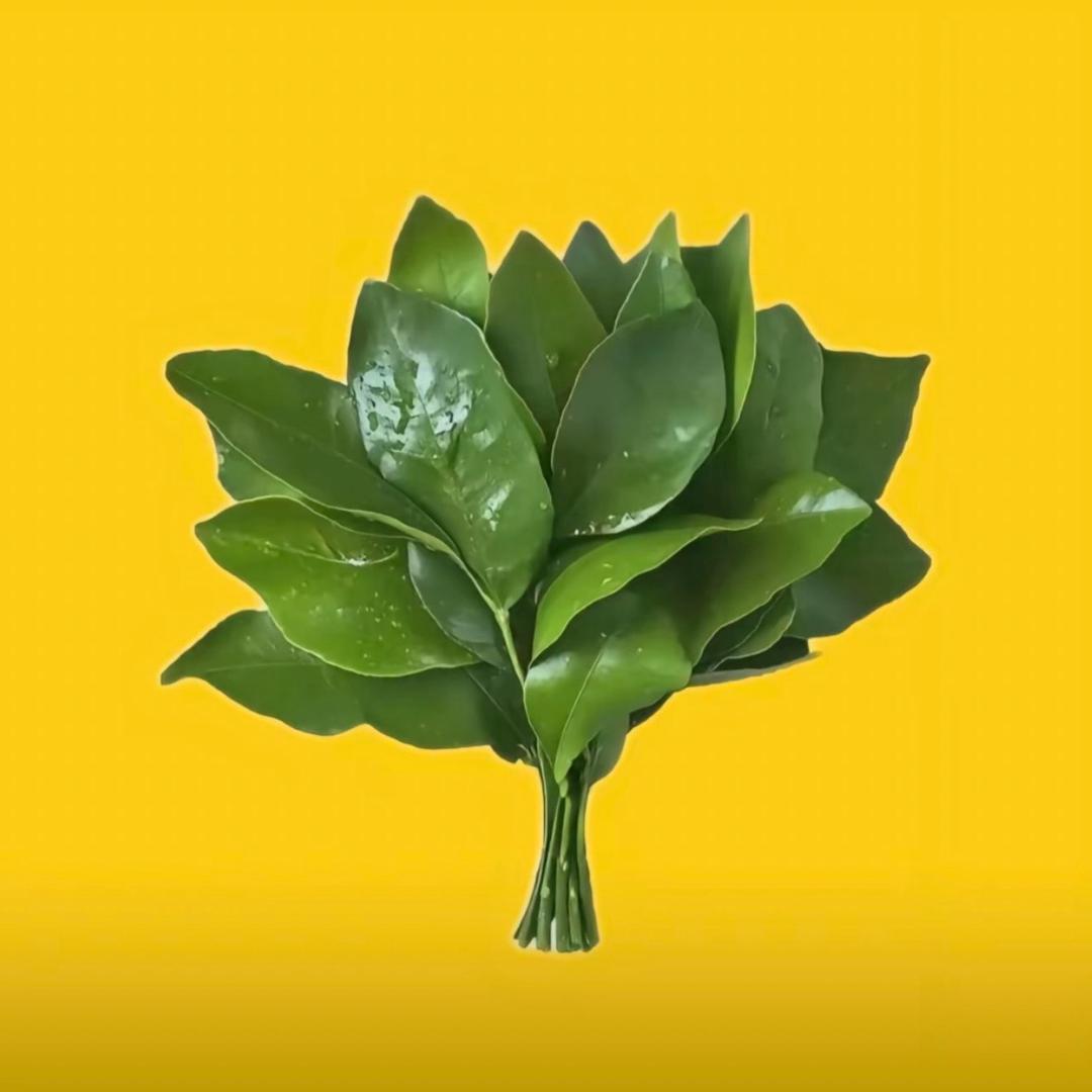 认我做大哥