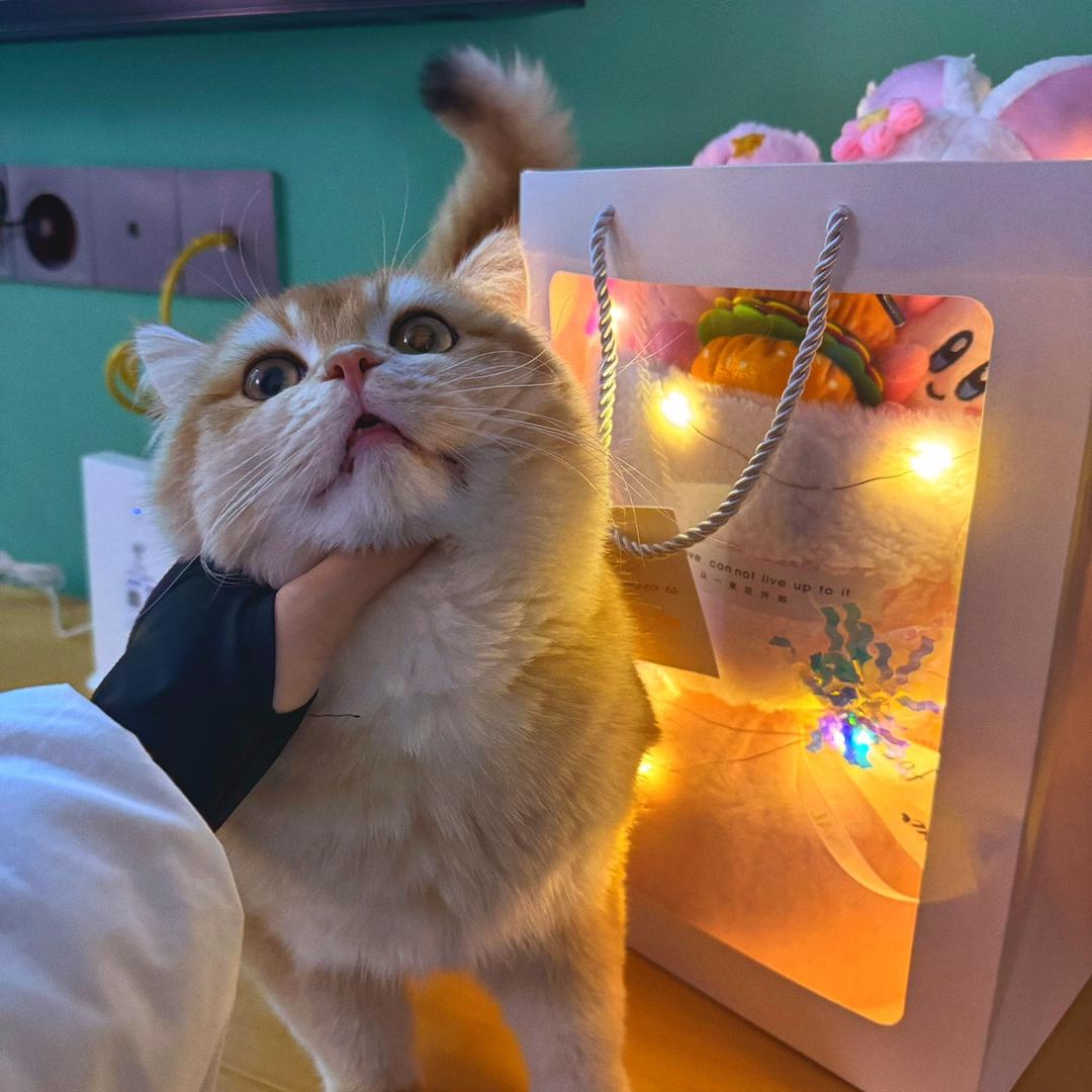 小敏