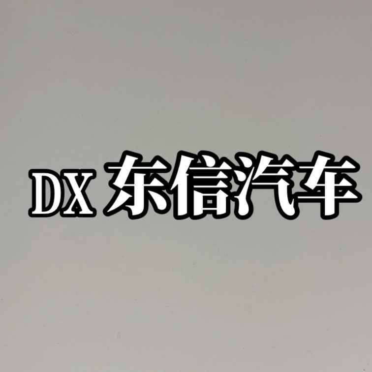 六安市东信汽车服务有限公司