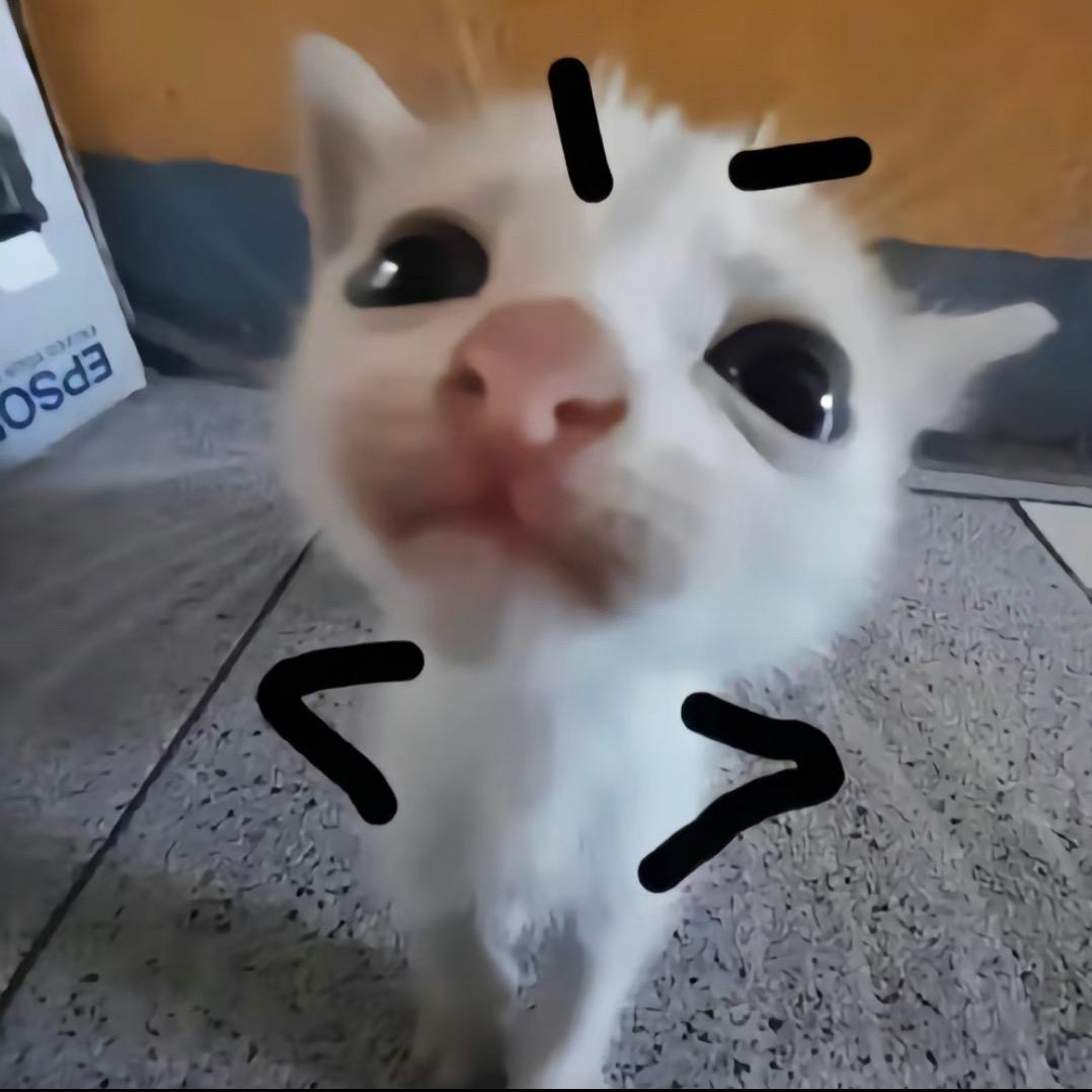 锅桶桶桶桶桶