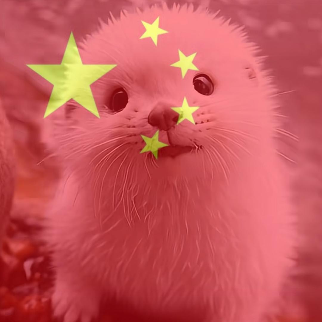 丶蕗過亾簡