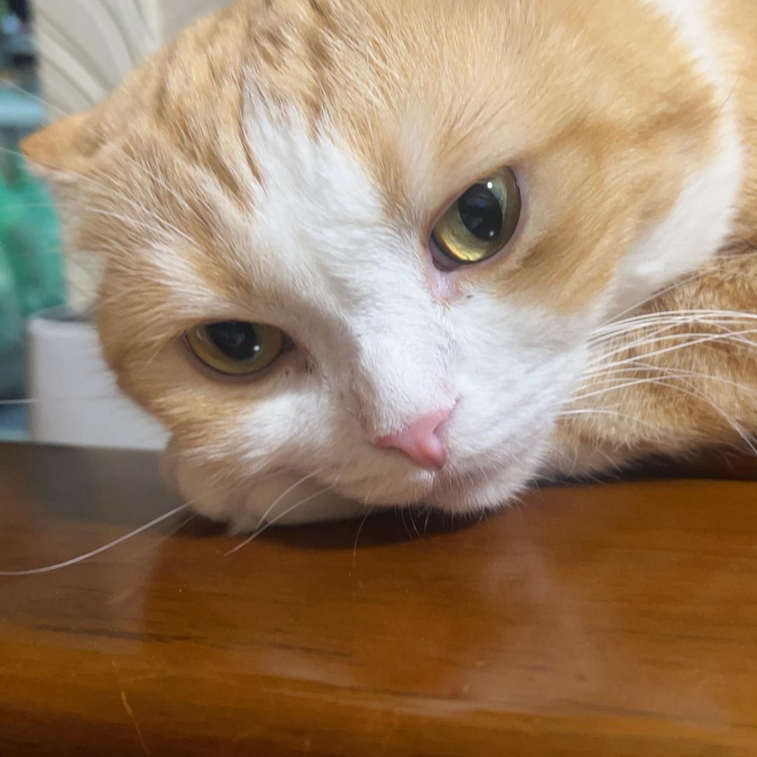 ❤️銀河星空❤️