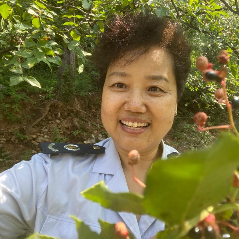 河北驻村书记（南山姐姐）
