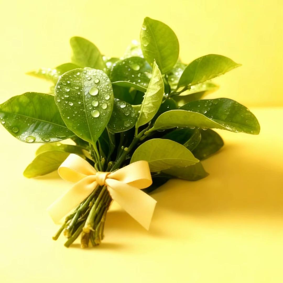 辣椒拌饭 🌶️