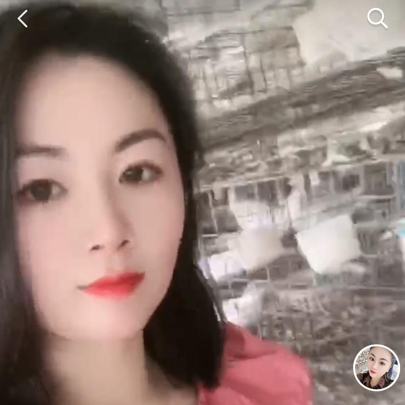 种鸽养殖基地(棒棒糖月季)