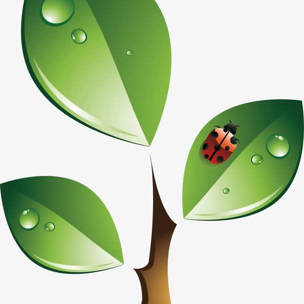 禾麦泽生鲜供应