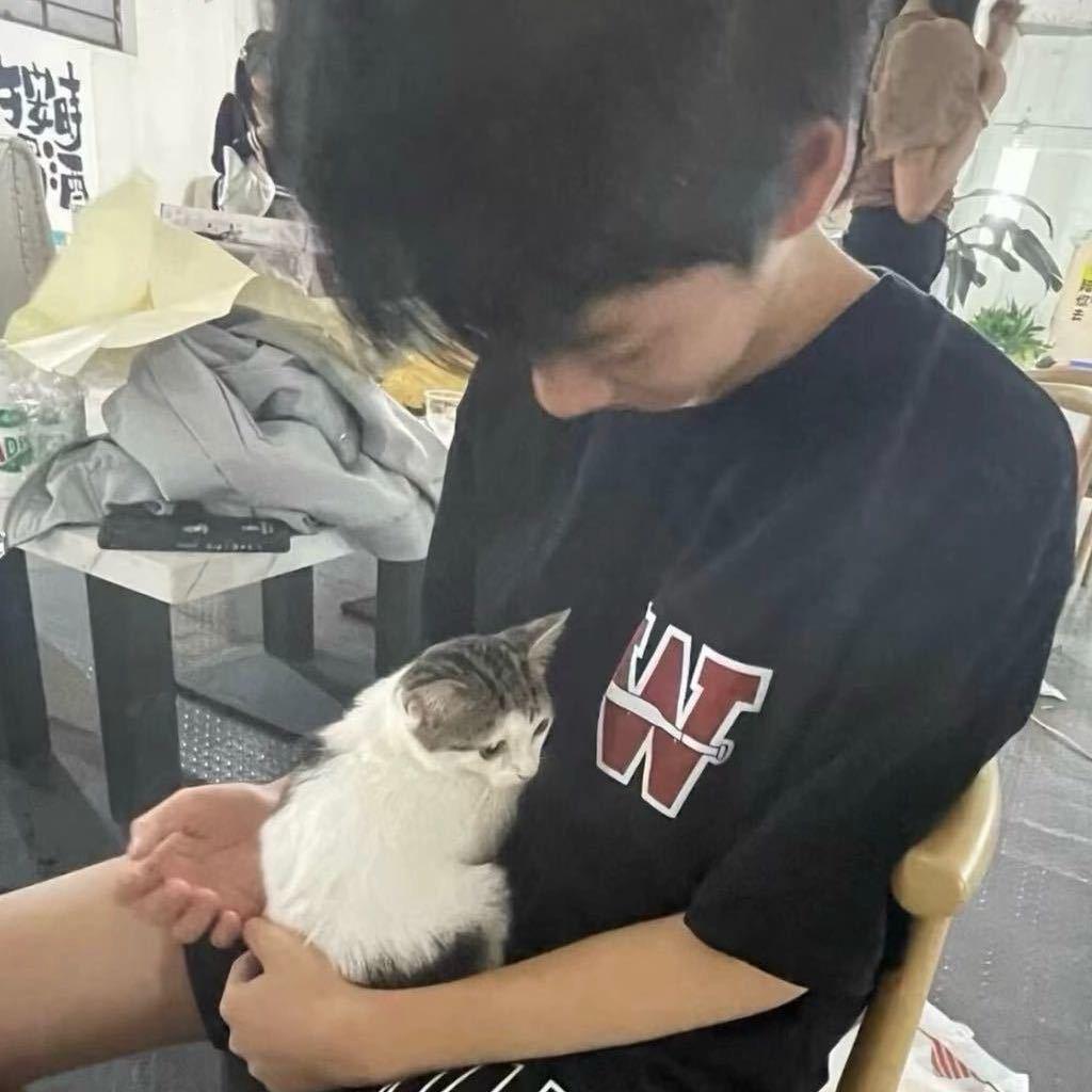 会遇见