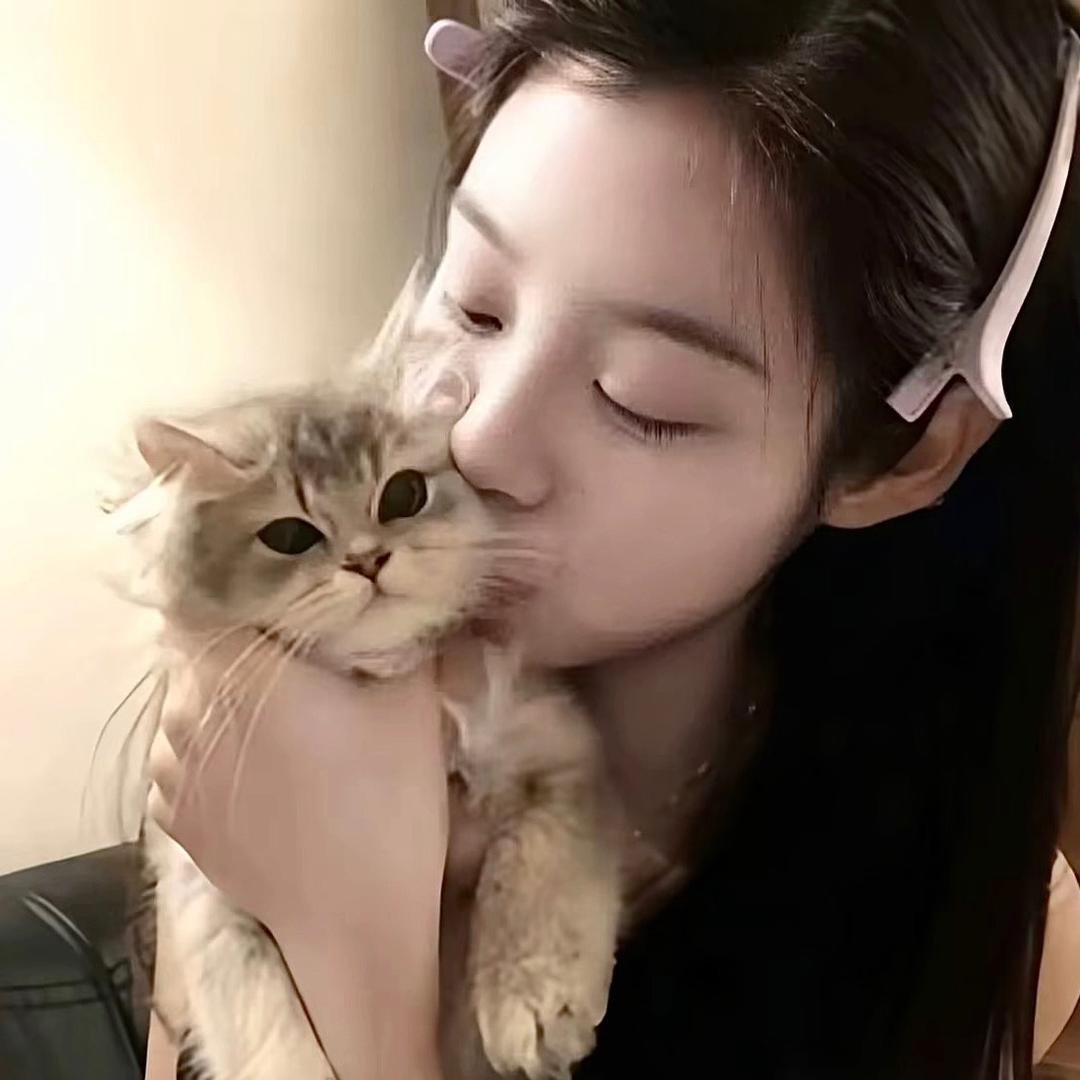 落差的猫