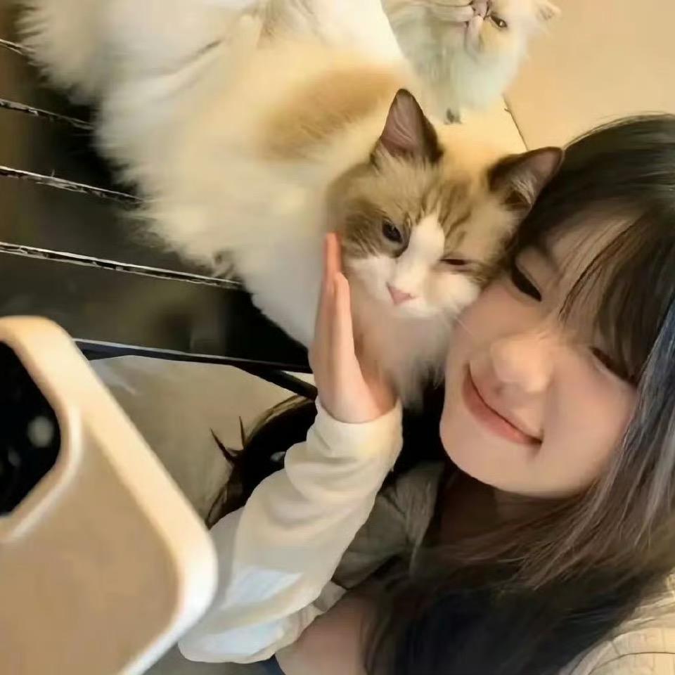 예쁜백설미