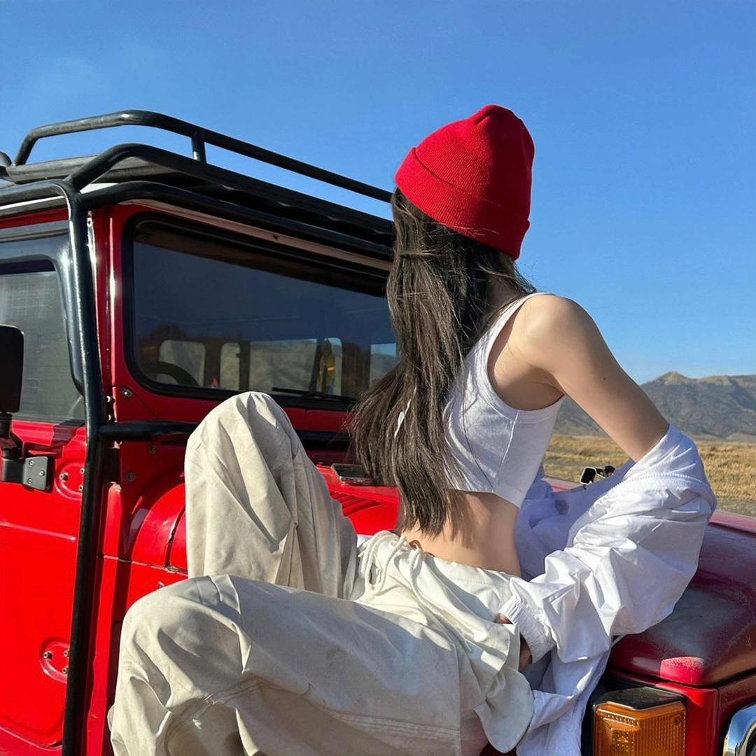 倔强的驴（沙漠美女儿）