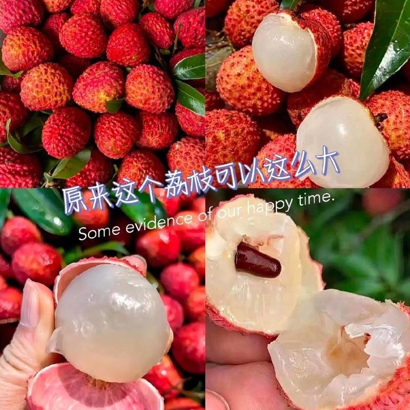 果甄臻选