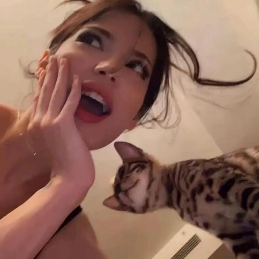 蛋蛋呀
