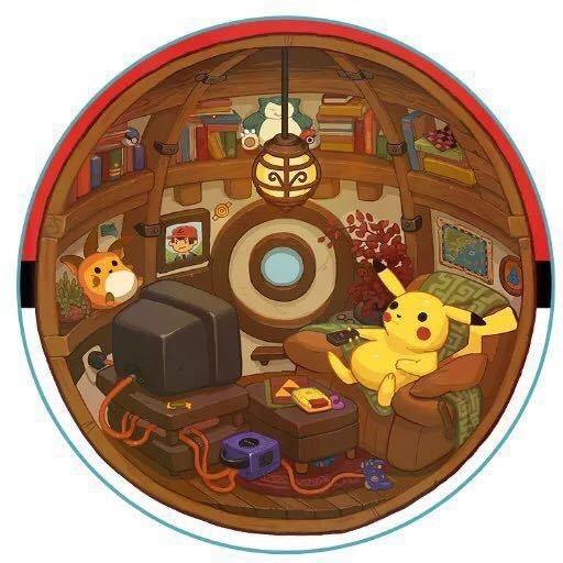蛋蛋优选