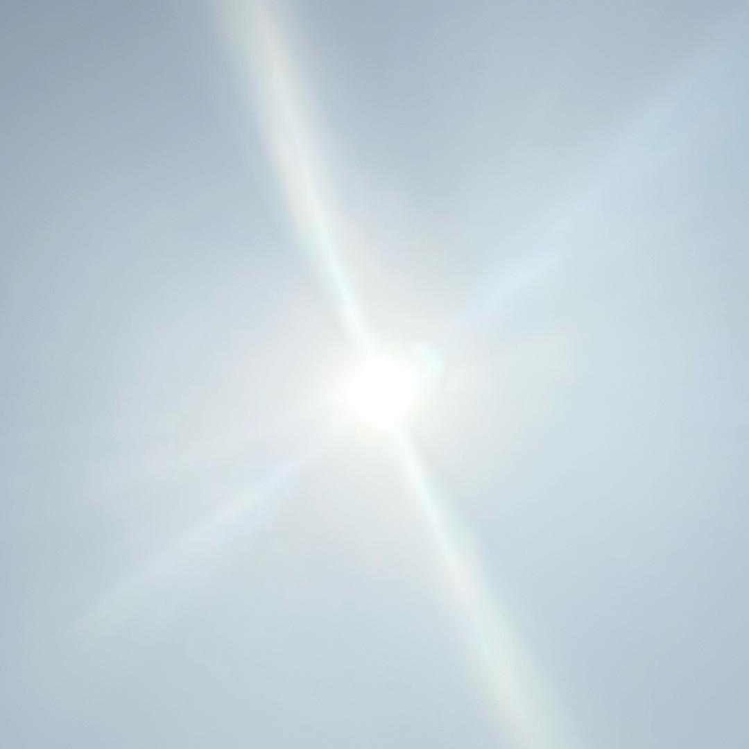 蛊
